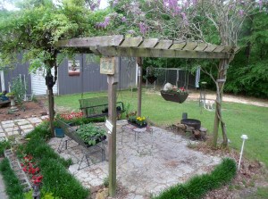 You can see the top of the old bbq pit hanging under the pergola.  It is planted with all kinds of gorgeous flowers.  can't wait till it fills out!